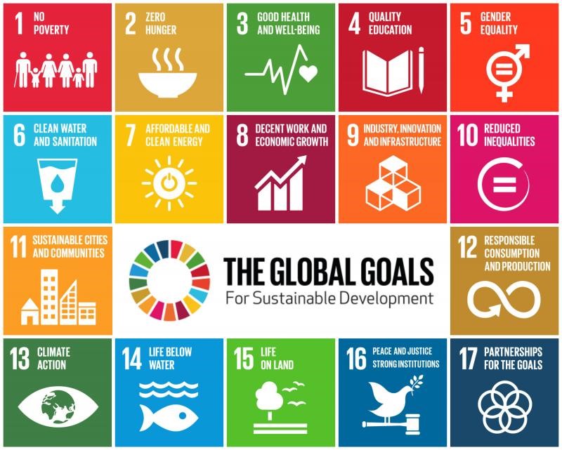 Sustainable Development Goals (SDGs)